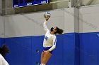 Women’s VB intersquad  Women’s Volleyball inter-squad match. : Women’s Volleyball, VB, inter squad, intersquad